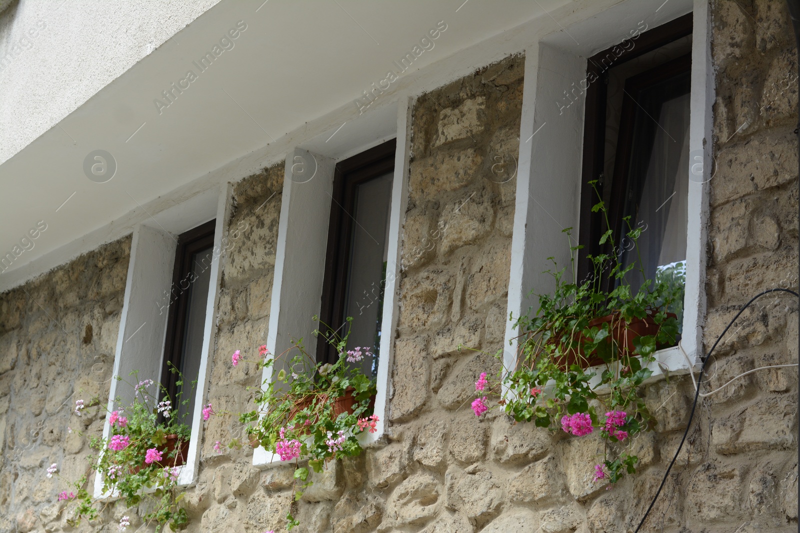 Photo of Exterior of beautiful residential building with small windows and flowers in pots