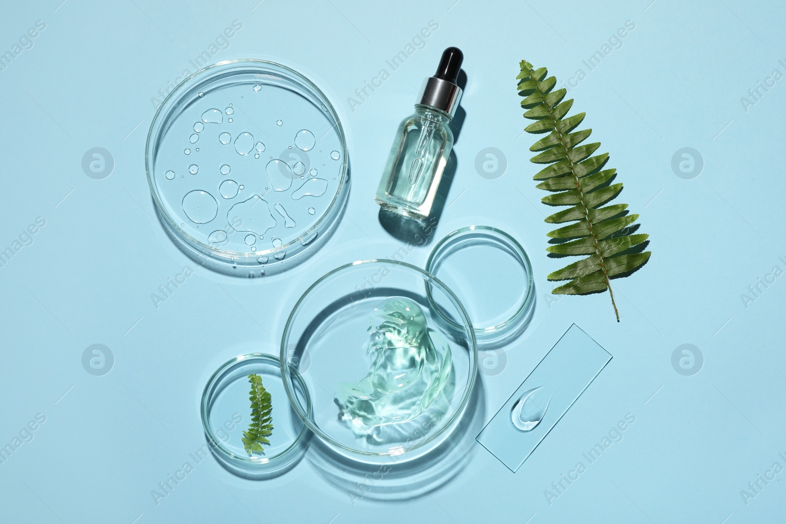 Photo of Flat lay composition with cosmetic product, fern and laboratory glassware on light blue background