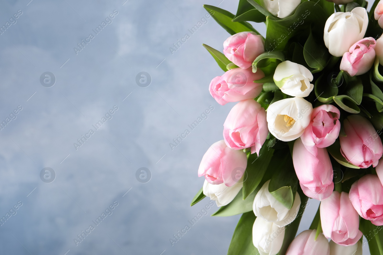 Photo of Beautiful bouquet of tulips against blue background. Space for text