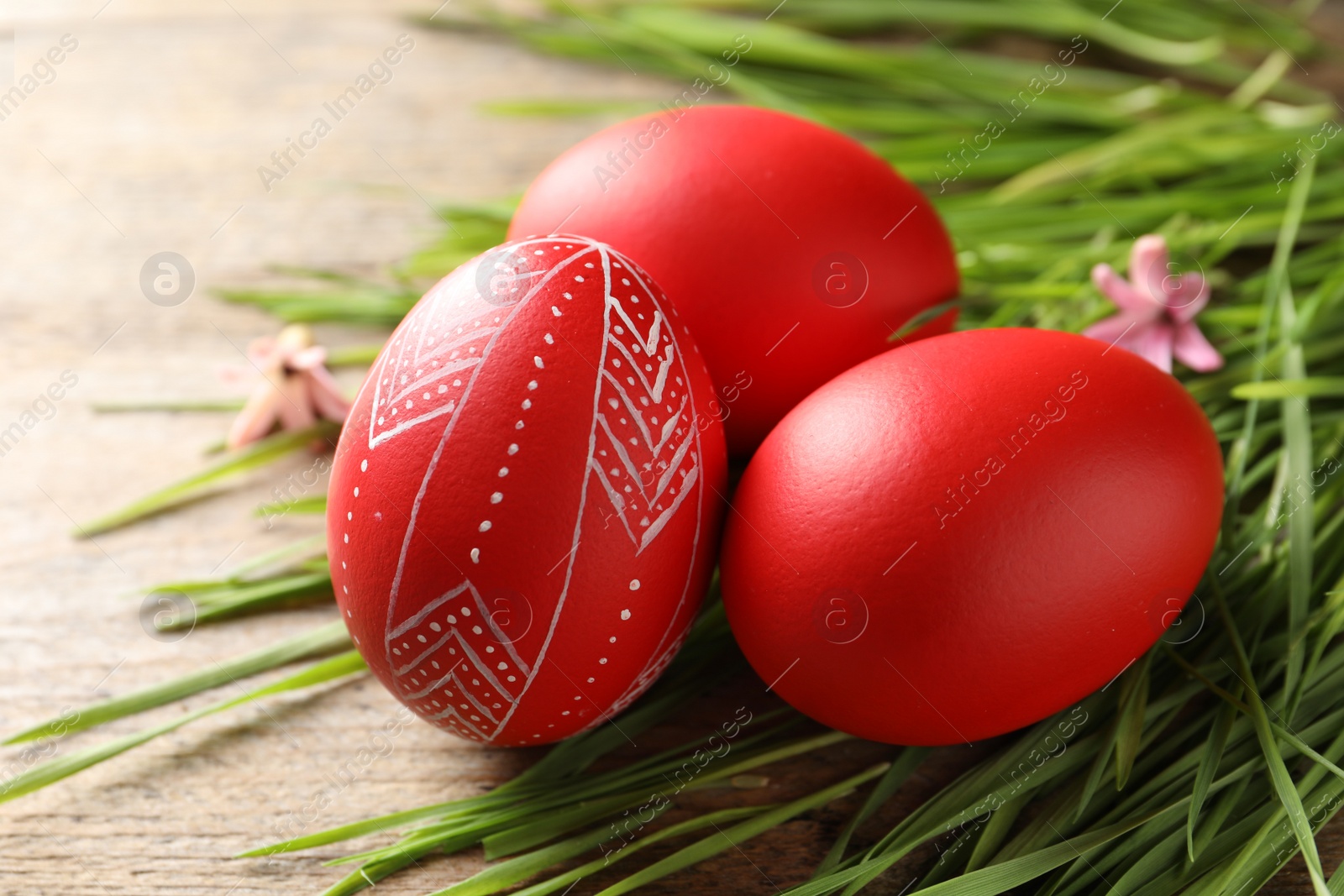 Photo of Red painted Easter eggs and green grass on wooden table, closeup