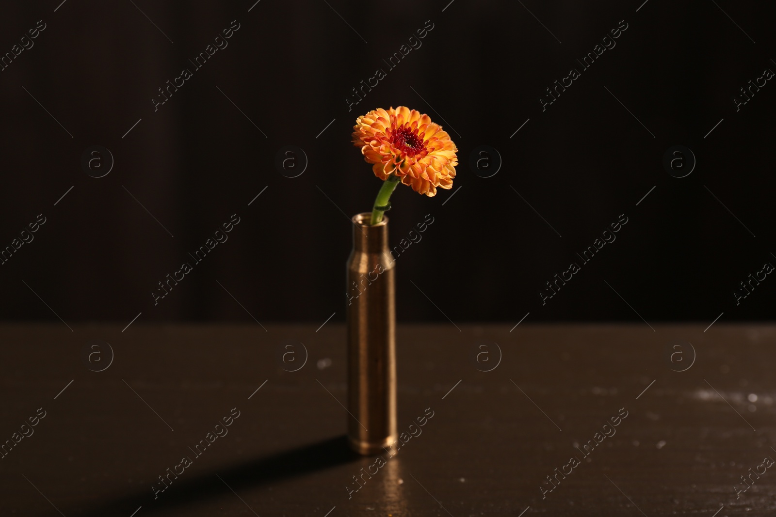 Photo of Beautiful flower in bullet case on wooden table against dark background