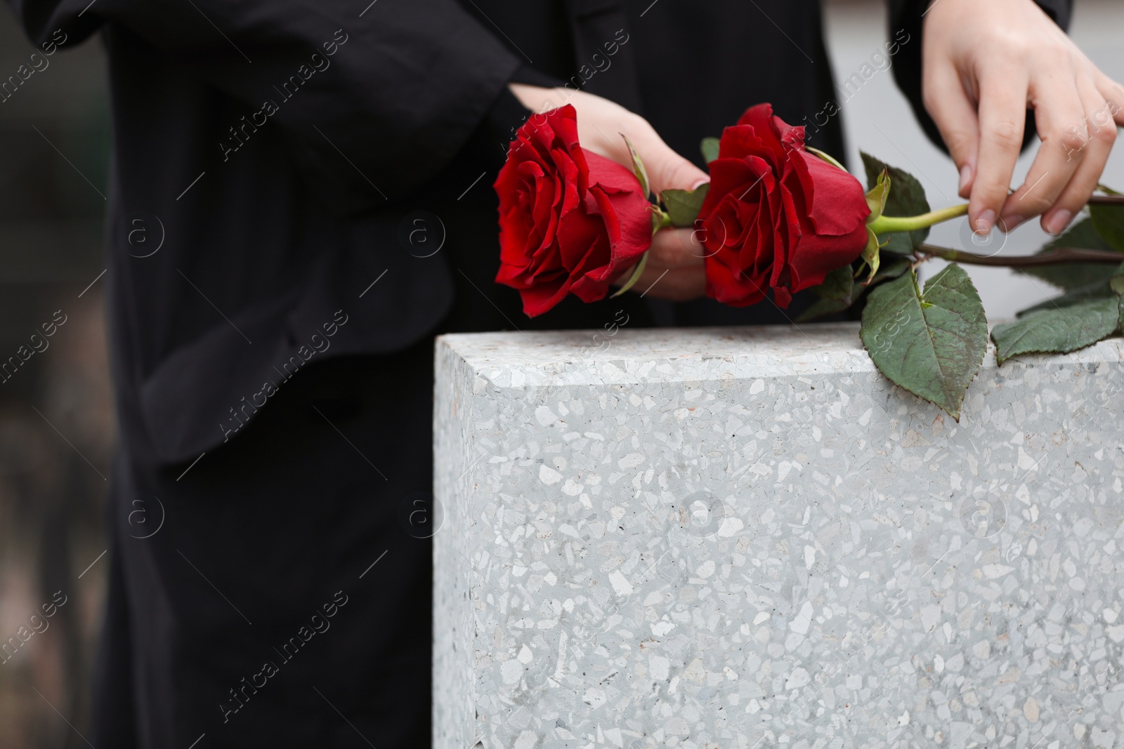 Photo of Woman with red roses near light grey tombstone outdoors, closeup. Funeral ceremony