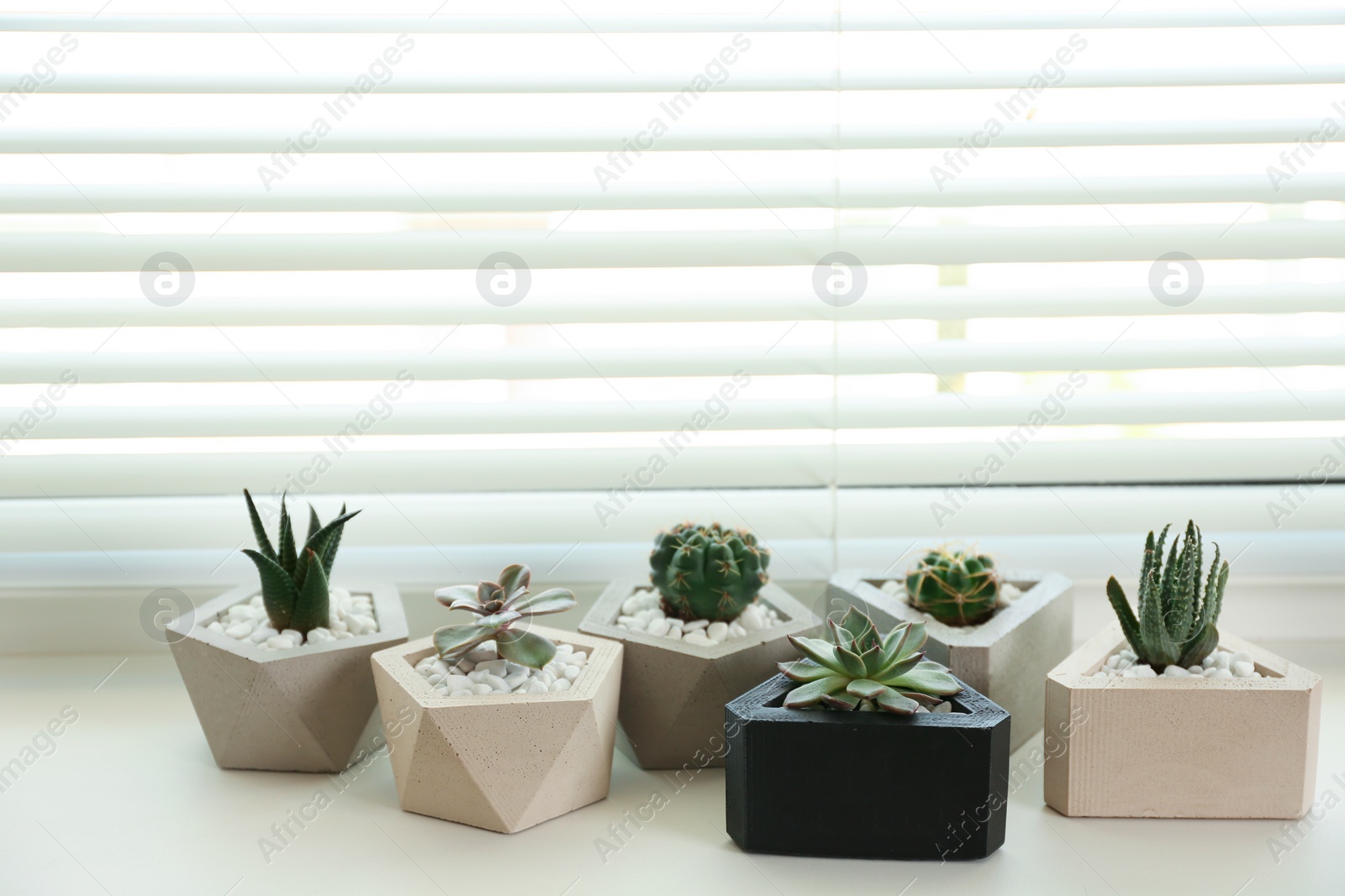 Photo of Window with blinds and potted plants on sill, space for text