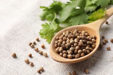 Spoon with dried coriander seeds and green leaves on light cloth, closeup