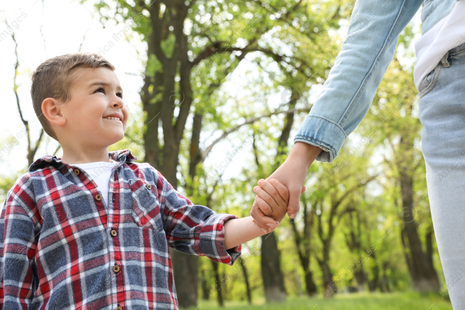 Photo of Cute little child holding hands with his mother outdoors, low angle view. Family weekend