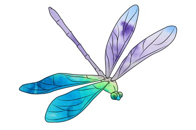 Silhouette of dragonfly drawn with watercolor paint on white background
