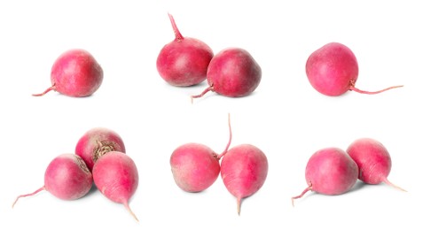 Collage with fresh ripe turnips on white background