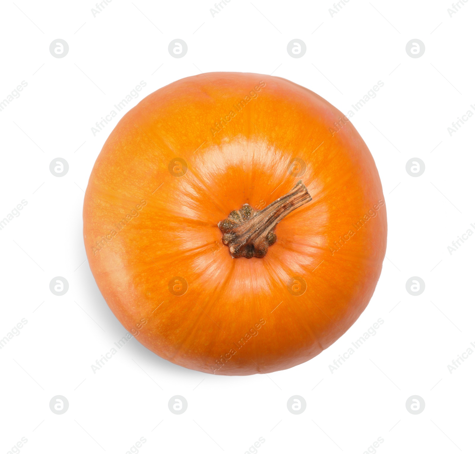 Photo of One fresh orange pumpkin isolated on white, top view