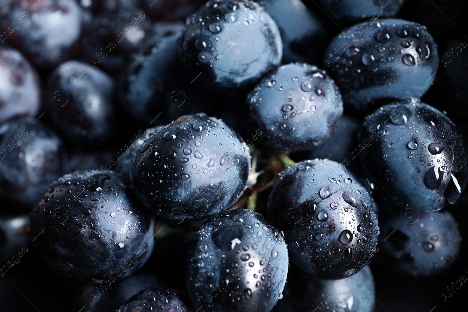 Photo of Bunch of fresh ripe juicy grapes as background. Closeup view