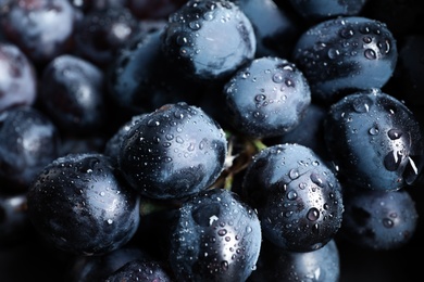 Photo of Bunch of fresh ripe juicy grapes as background. Closeup view