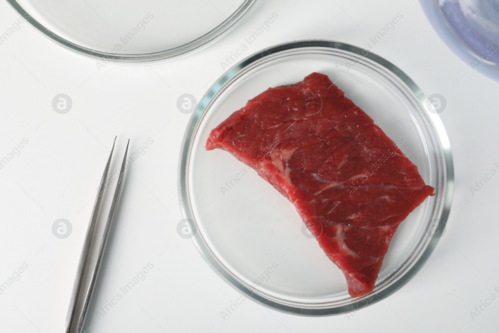 Photo of Petri dish with piece of raw cultured meat and tweezers on white table, flat lay