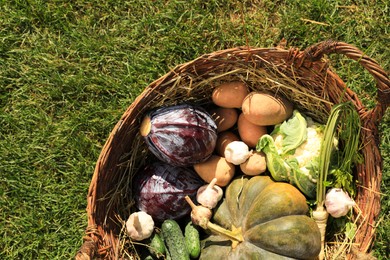 Photo of Different fresh ripe vegetables in wicker basket on green grass, top view