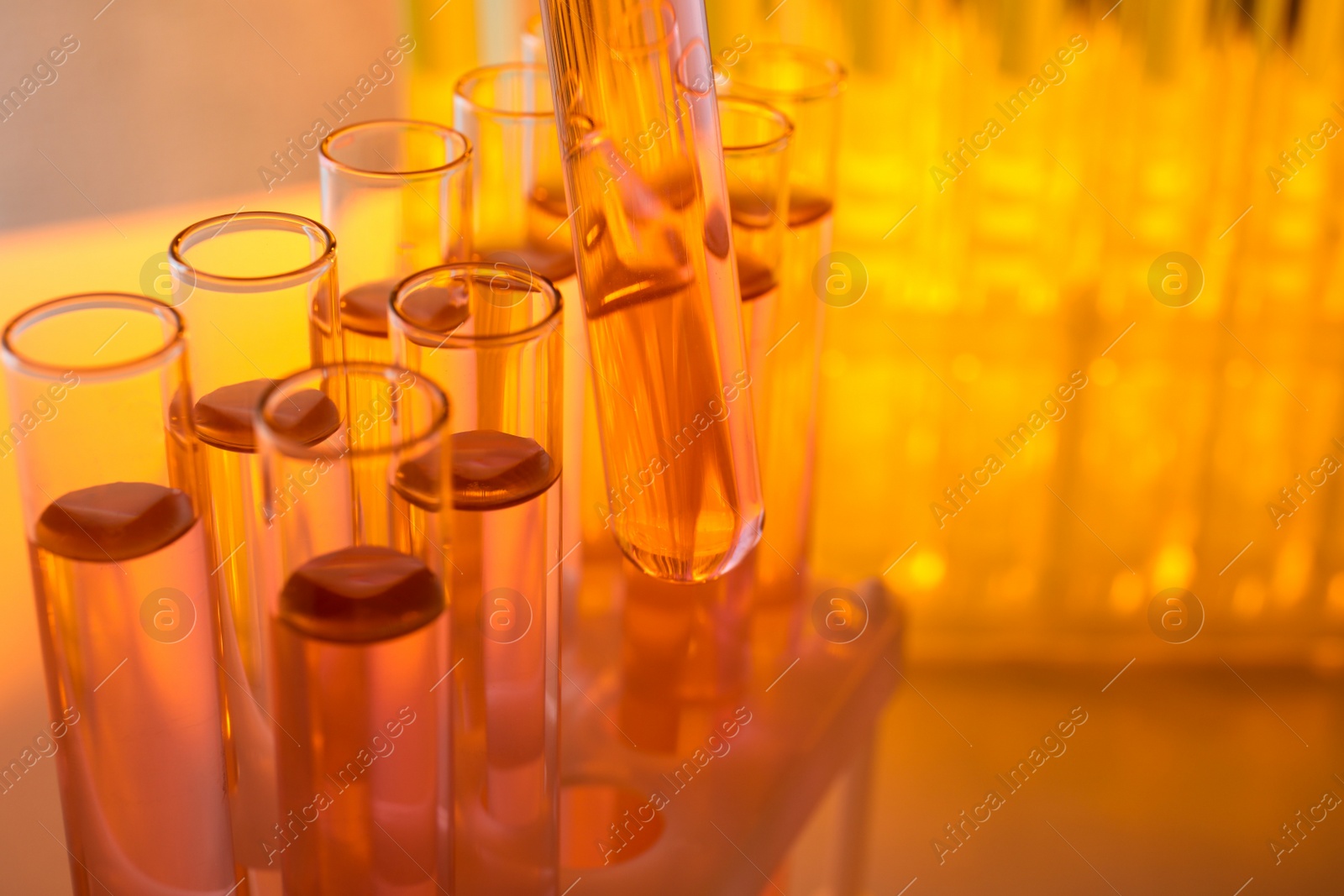 Photo of Taking test tube with liquid sample, closeup. Color tone effect