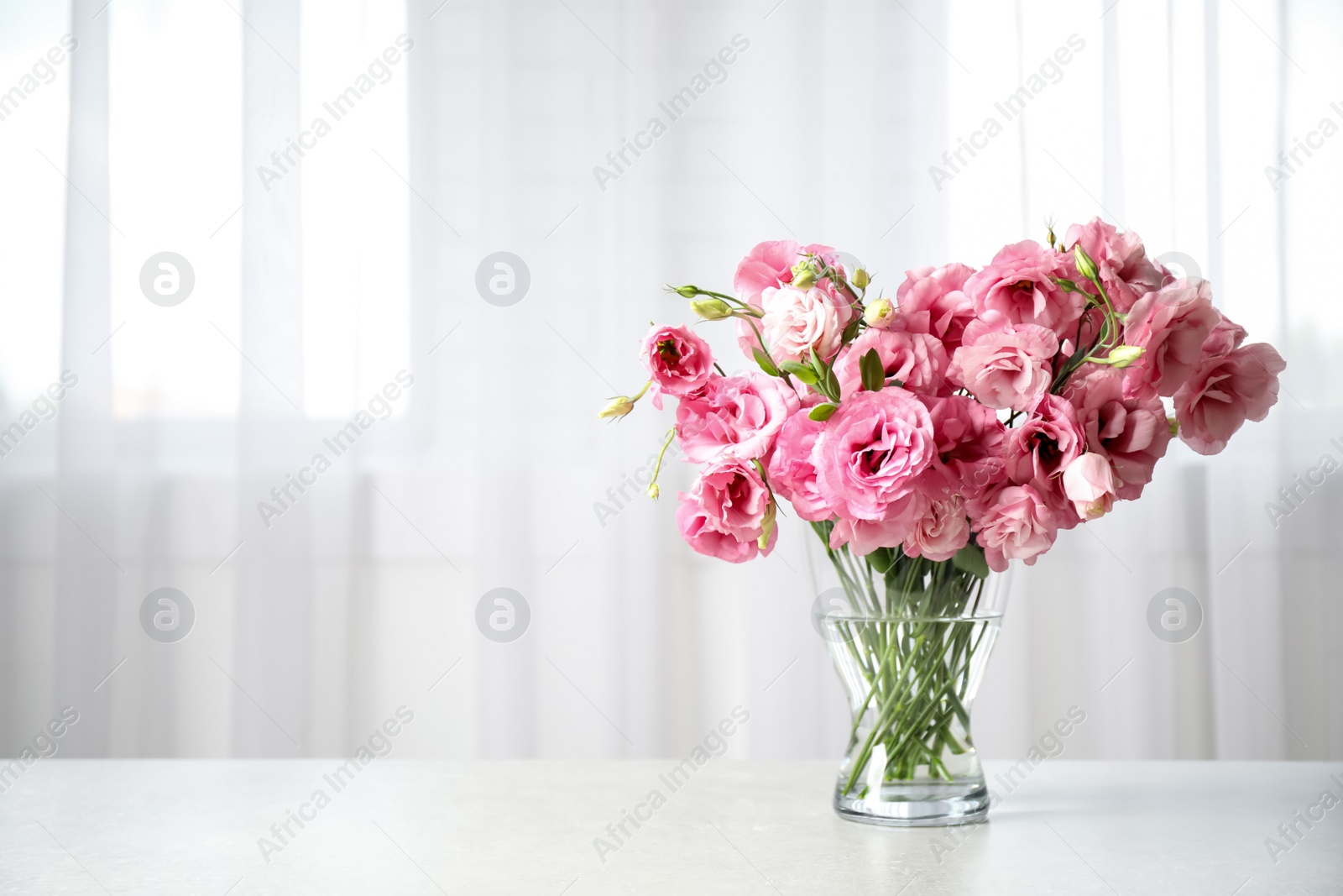 Photo of Beautiful pink Eustoma flowers in vase on table indoors. Space for text