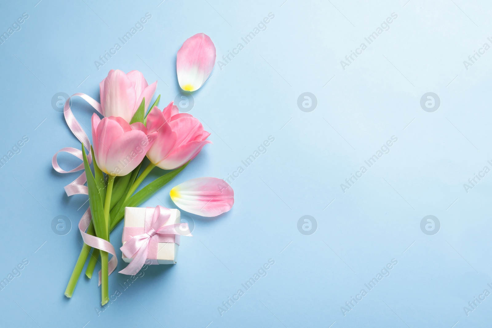 Photo of Flat lay composition of tulips on blue background, space for text. International Women's Day