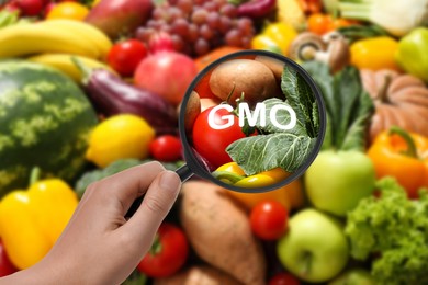 Image of Woman holding magnifying glass over fresh vegetables and fruits, closeup. GMO concept