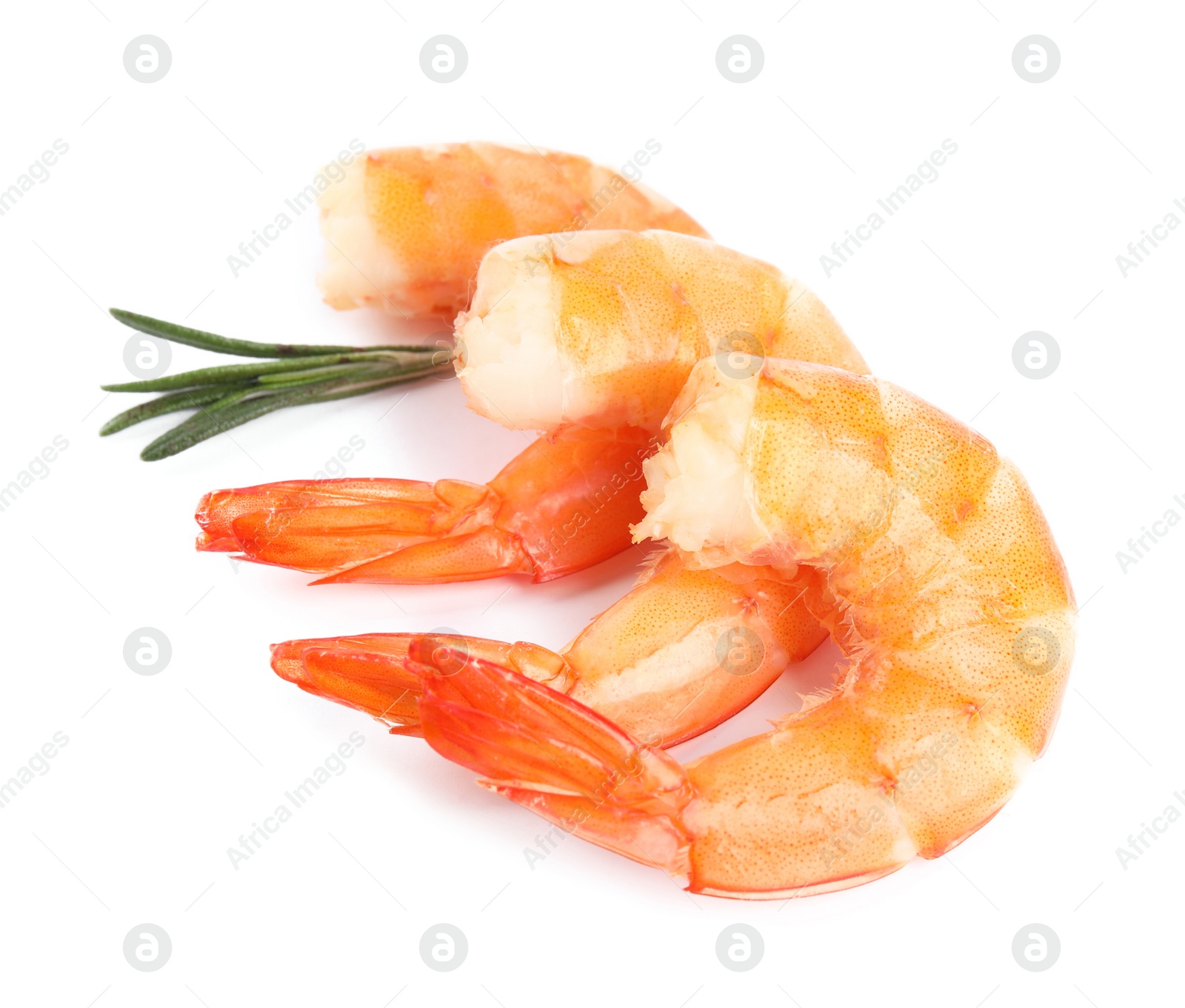 Photo of Delicious cooked shrimps and rosemary isolated on white