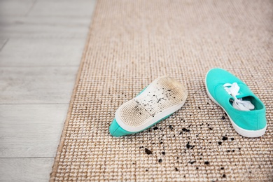 Photo of Pair of shoes with mud on carpet