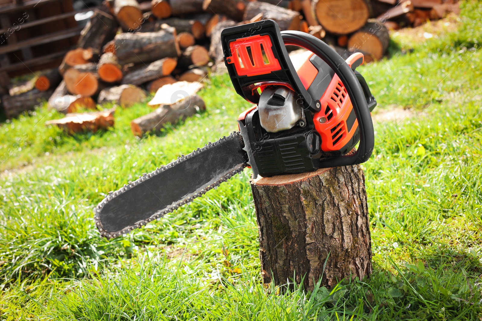 Photo of One modern saw on wooden log on sunny day