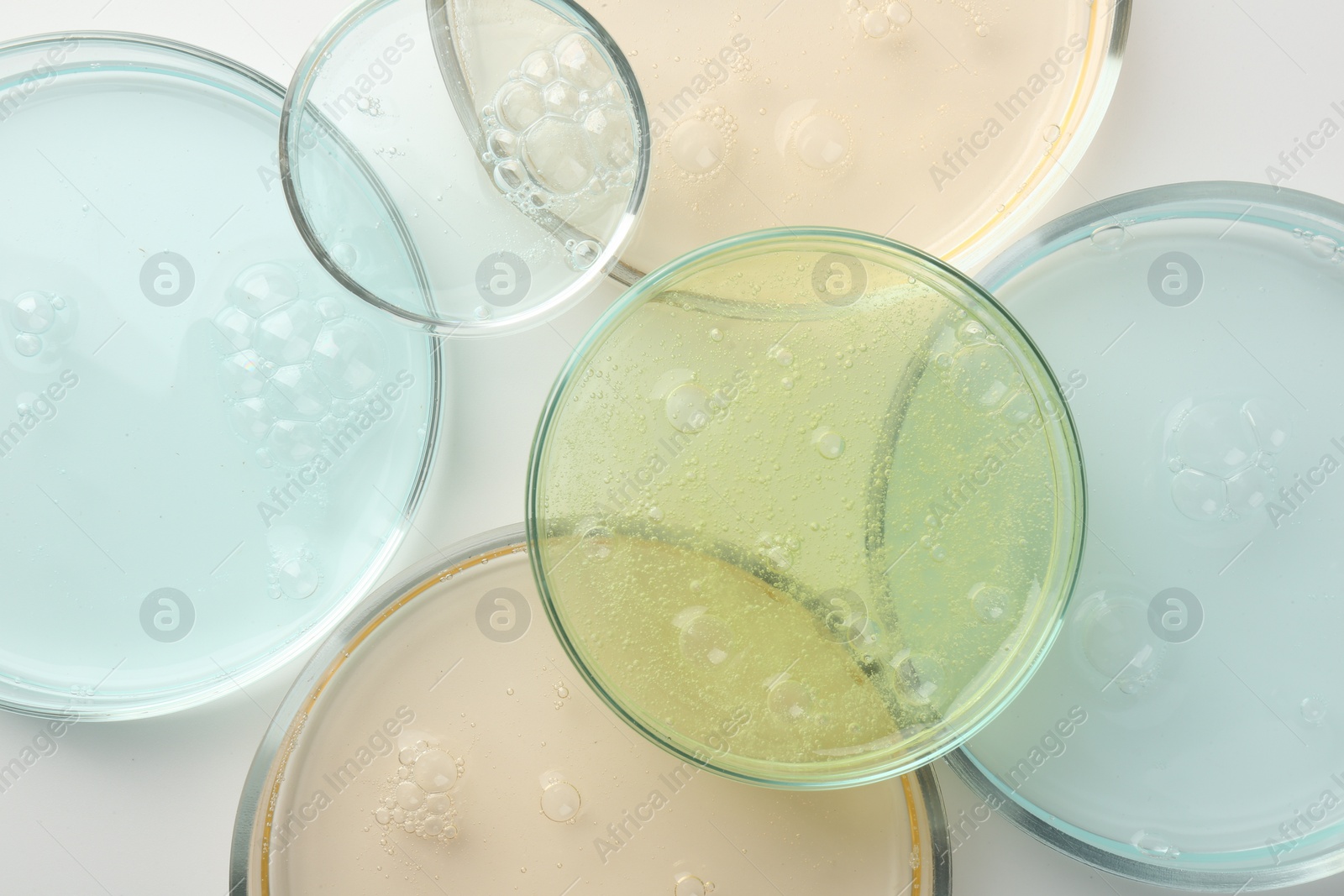 Photo of Petri dishes with different liquid samples on white background, top view