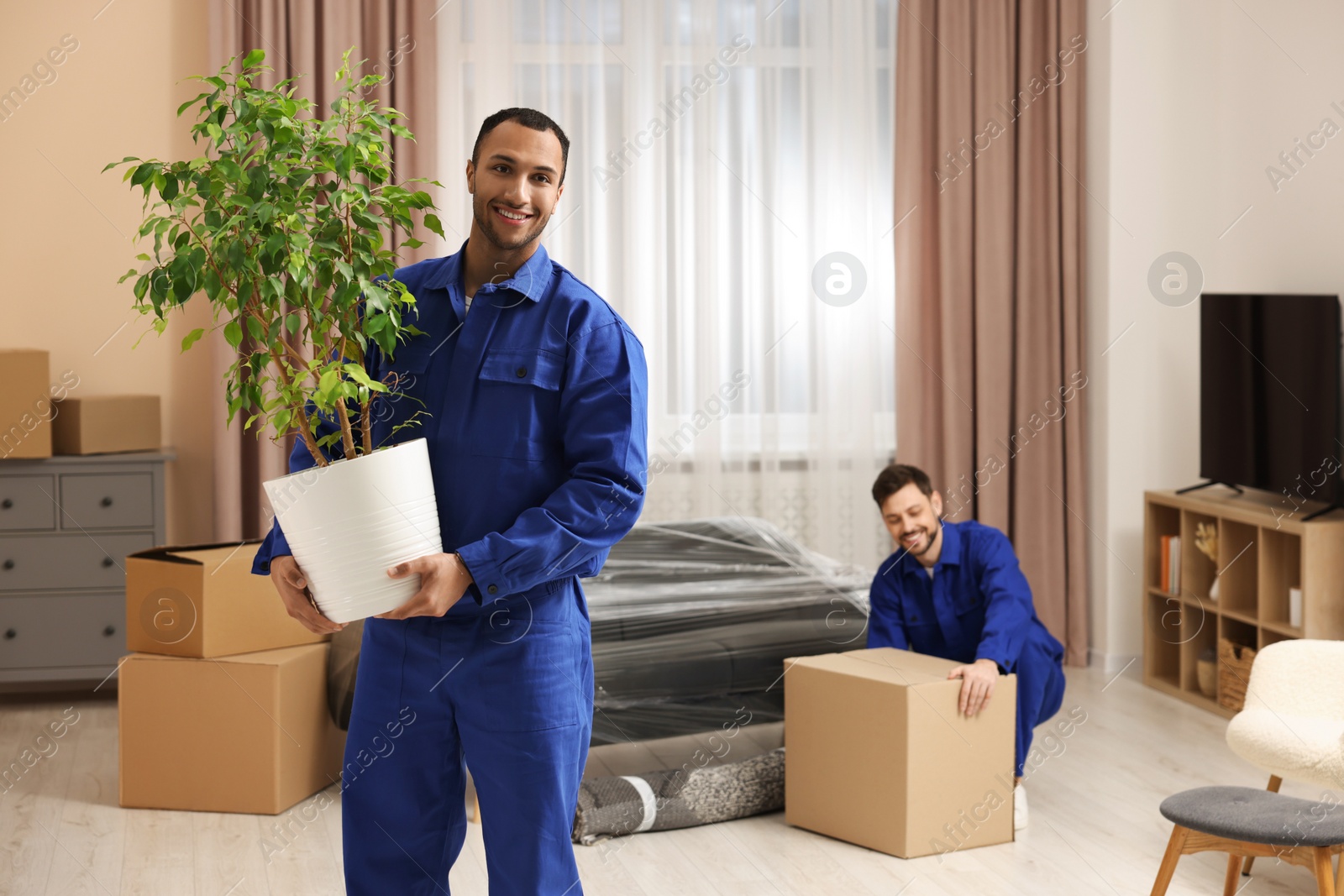 Photo of Male movers with cardboard box and plant in new house