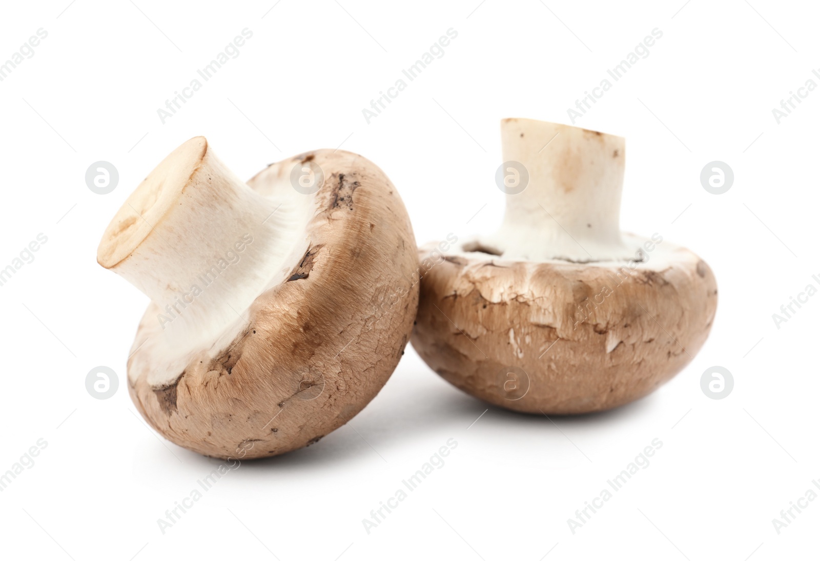 Photo of Fresh raw champignon mushrooms on white background