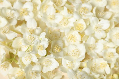 Photo of Many aromatic jasmine flowers on beige background, above view