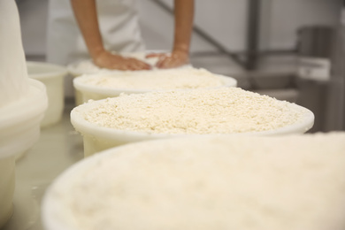 Photo of Moulds with pressed curd at cheese factory and blurred worker on background