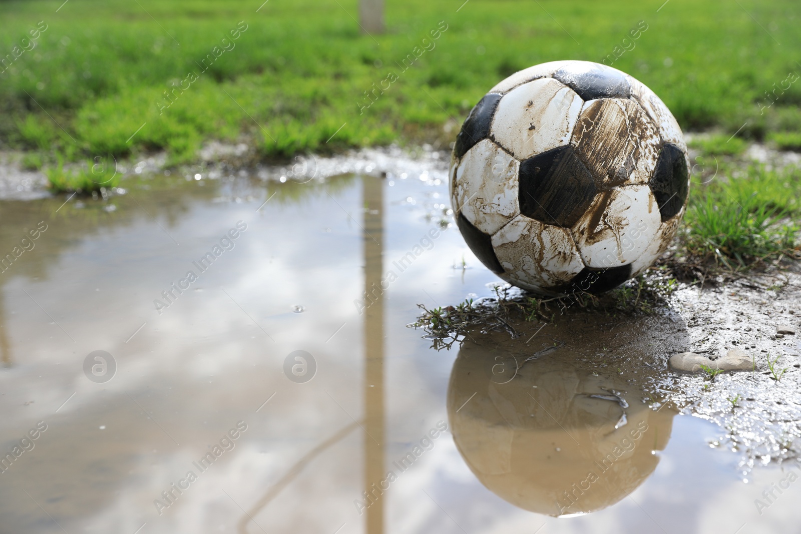 Photo of Dirty soccer ball on green grass near puddle outdoors, space for text