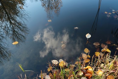 Photo of Beautiful lake and many fallen leaves on autumn day