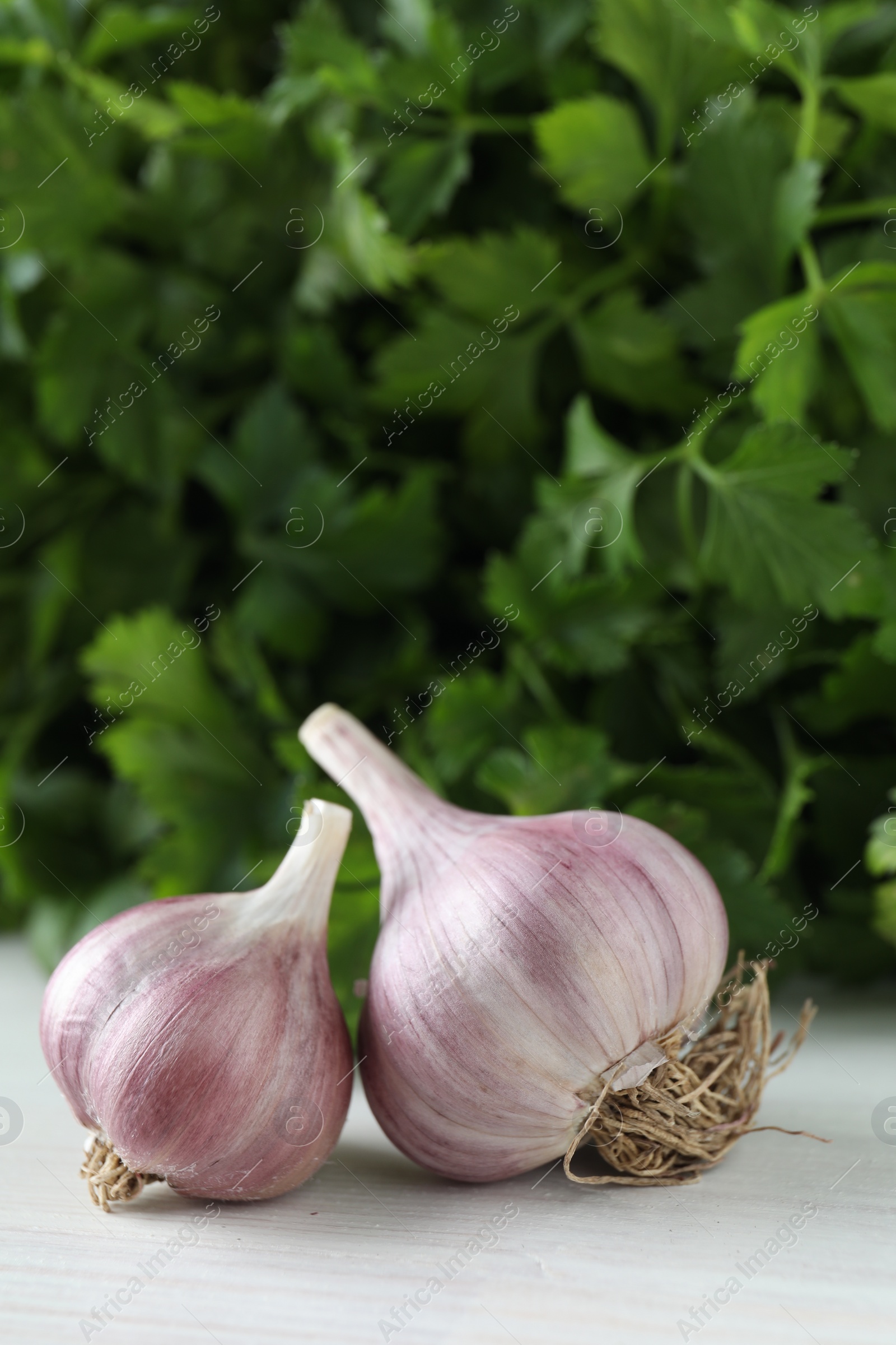 Photo of Fresh raw garlic and parsley on white wooden table, closeup