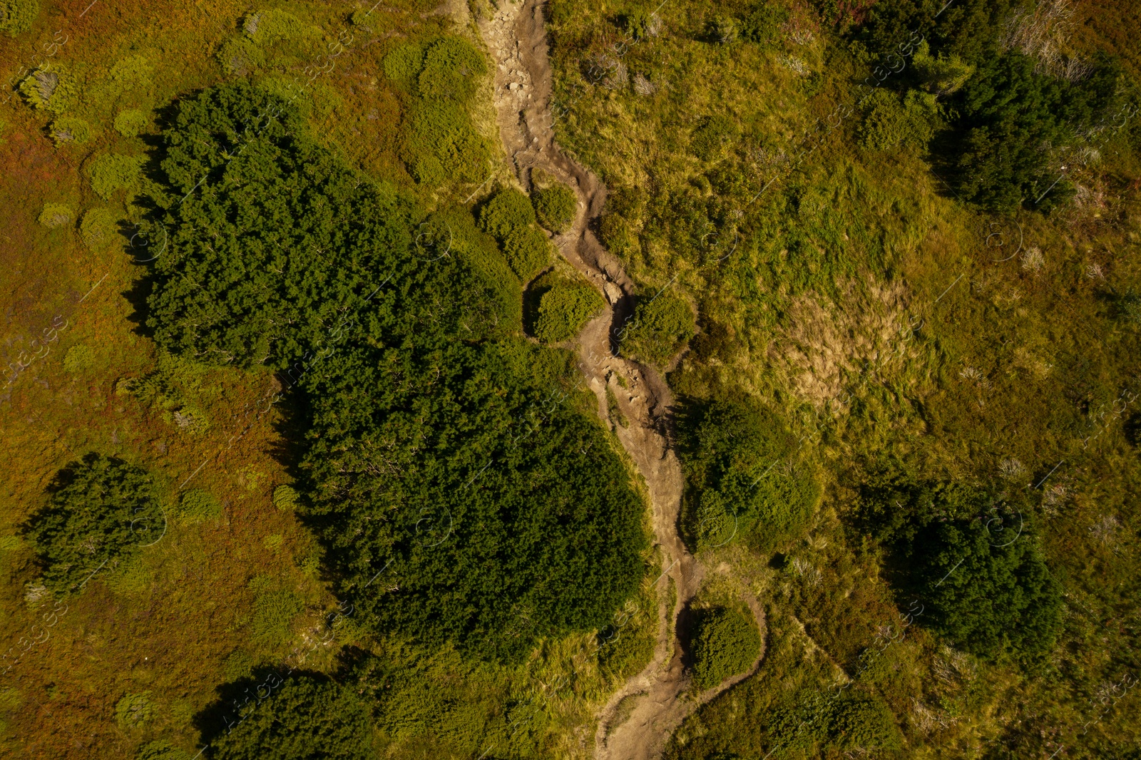 Image of Aerial view of beautiful landscape on sunny day. Drone photography