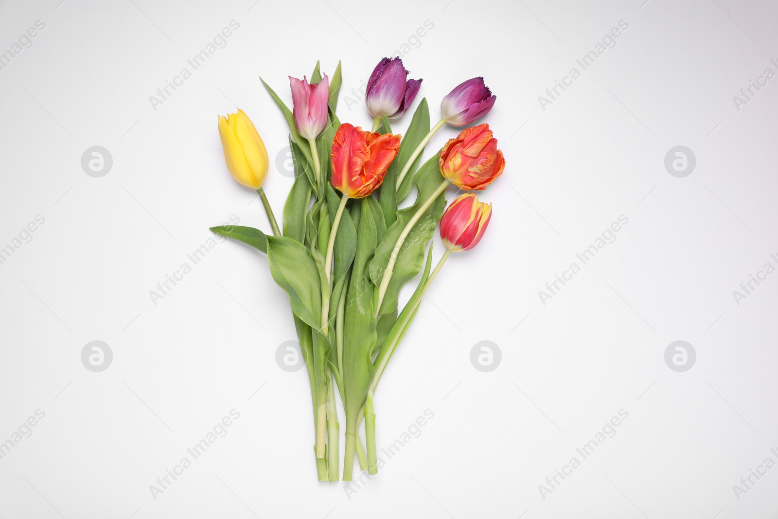 Photo of Beautiful colorful tulip flowers on white background, flat lay