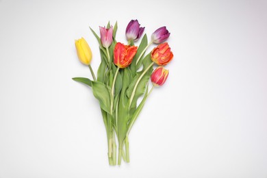 Beautiful colorful tulip flowers on white background, flat lay