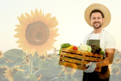 Double exposure of happy farmer and sunflower field. Space for text