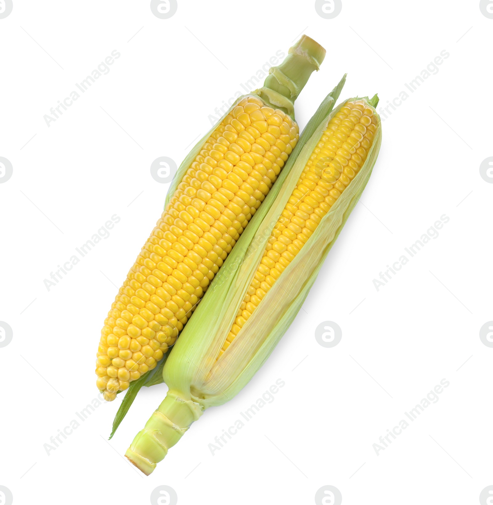 Photo of Tasty fresh corn cobs isolated on white, top view