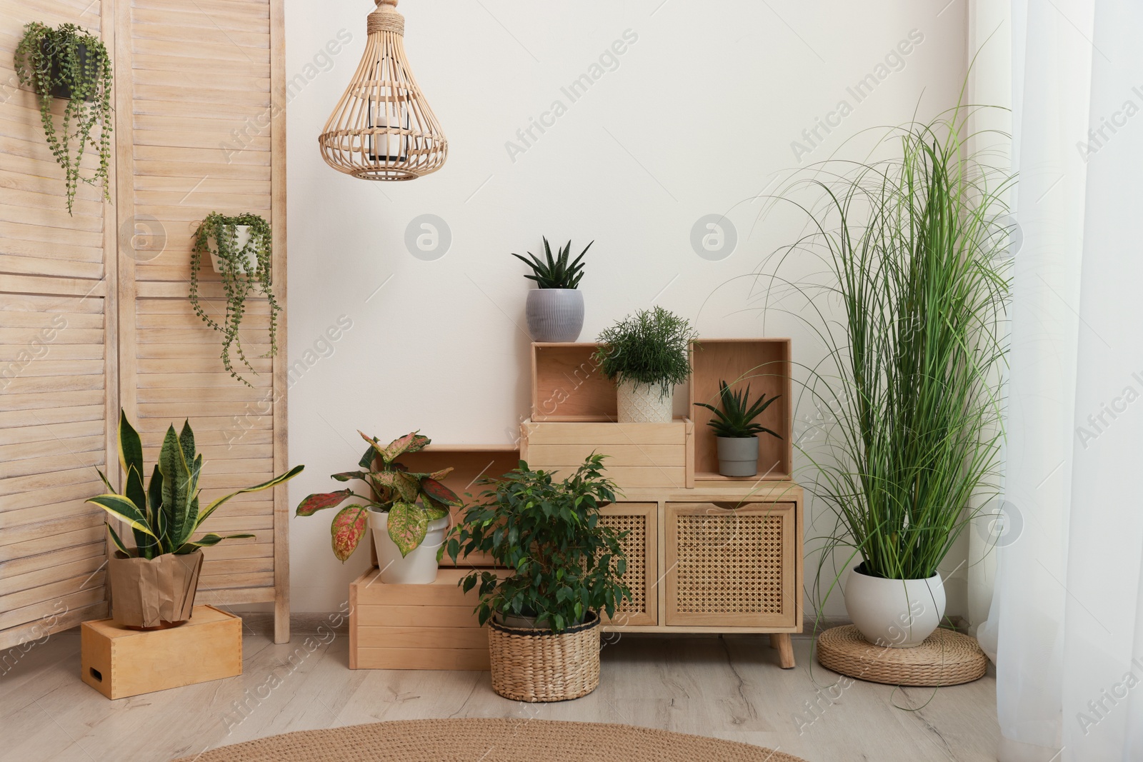 Photo of Cozy room interior with beautiful green plants and stylish furniture