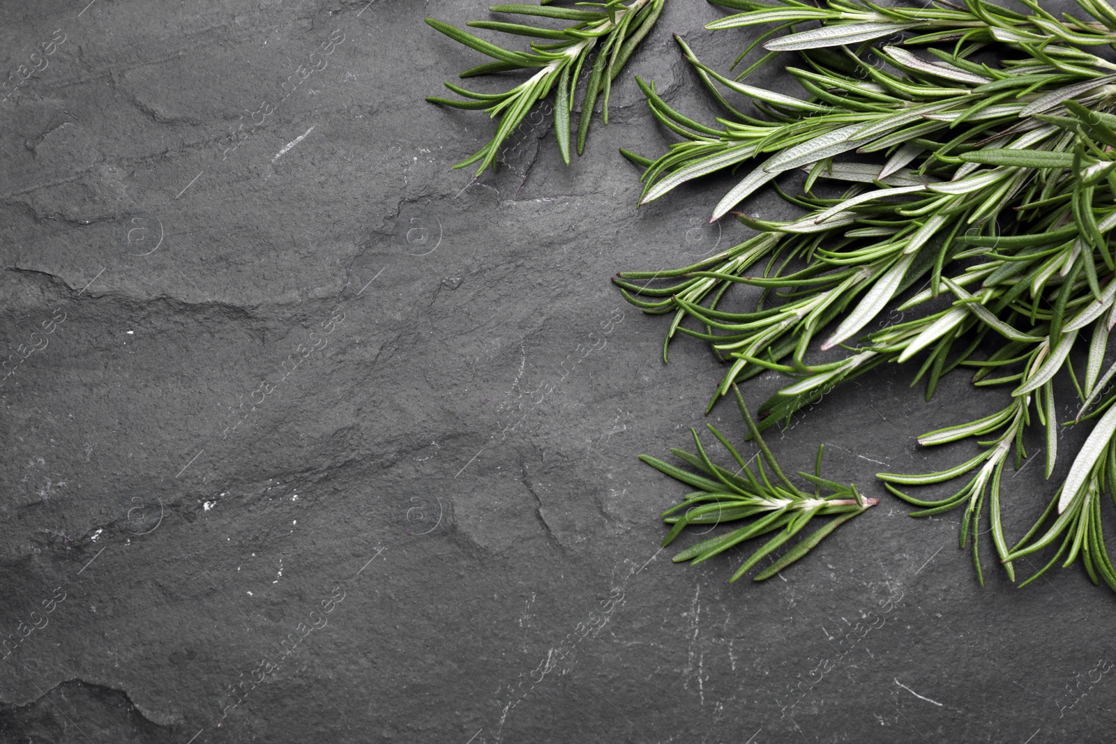 Photo of Sprigs of fresh rosemary on black background, flat lay