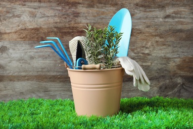 Photo of Bucket with plant and gardening tools on artificial grass