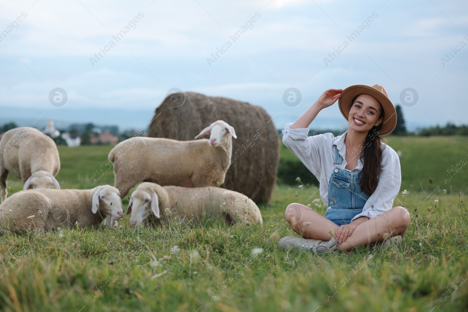 Photo of Smiling woman with sheep on pasture at farm