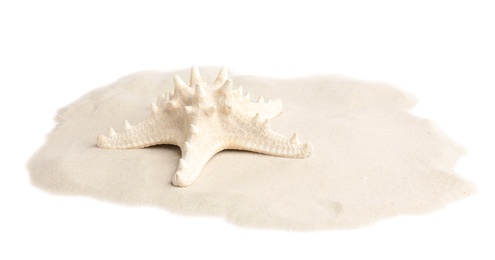 Pile of beach sand with beautiful starfish on white background