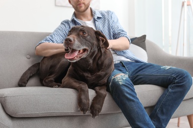 Photo of Adorable brown labrador retriever with owner on couch indoors