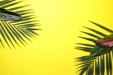 Photo of Flat lay composition with tropical leaves and space for text on color background