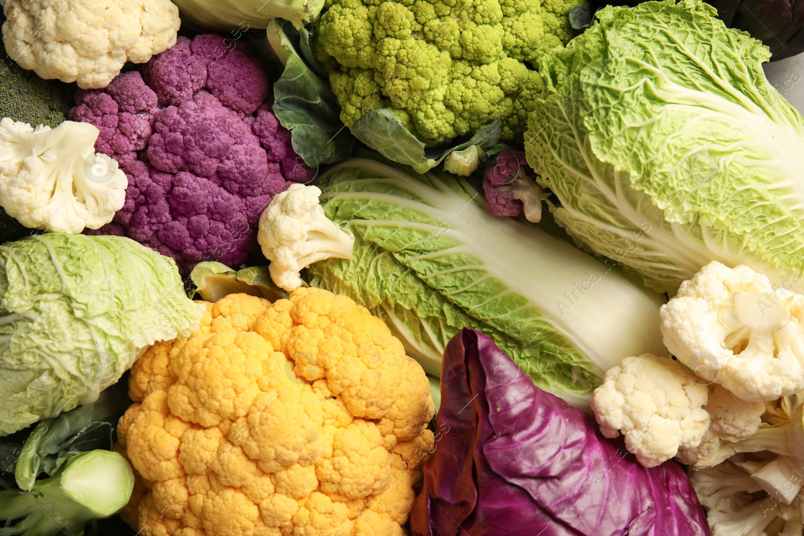 Photo of Different fresh cabbages as background. Healthy food