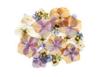 Photo of Pressed dried flowers on white background, top view. Beautiful herbarium