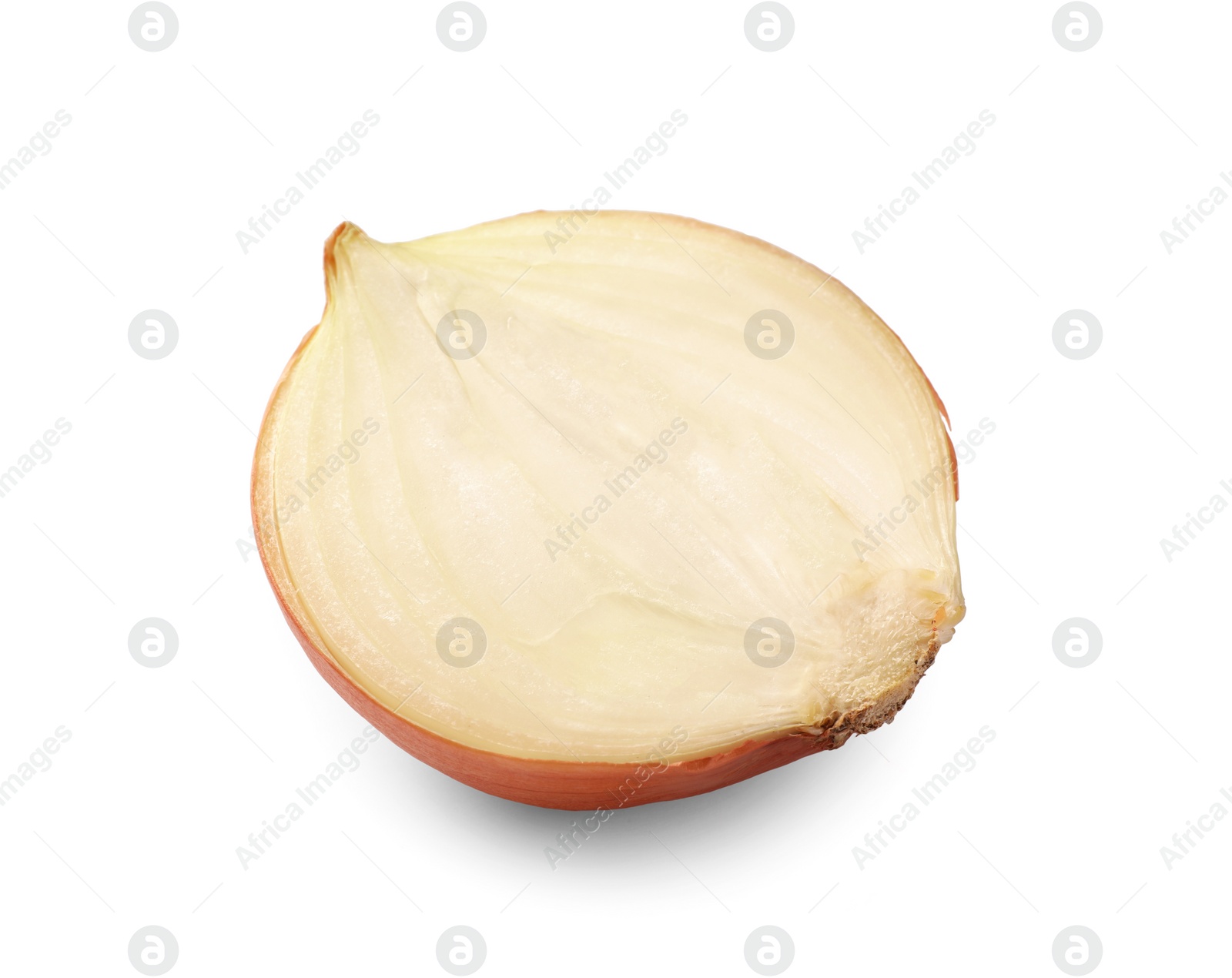 Photo of Half of fresh onion isolated on white