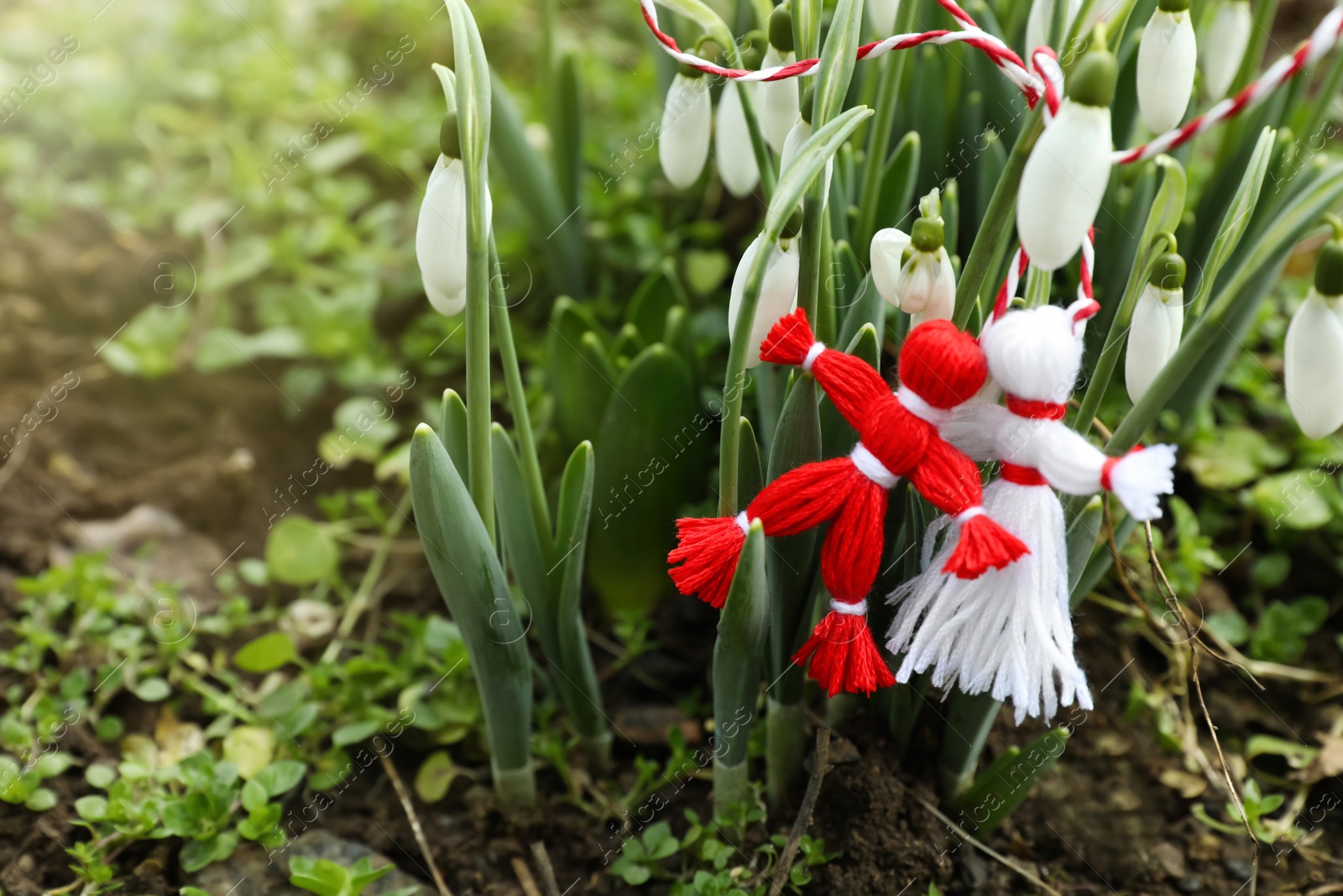 Photo of Traditional martisor and beautiful snowdrops outdoors. Symbol of first spring day