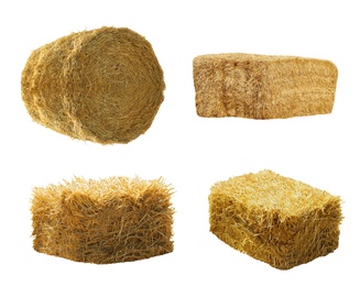 Set of hay bales on white background. Agriculture industry