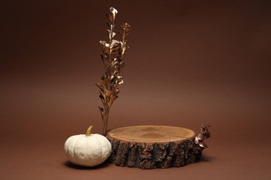 Autumn presentation for product. Wooden stump, pumpkin and golden branches with leaves on brown background, space for text