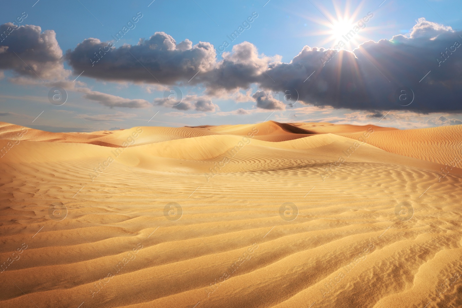 Image of Picturesque view of sandy desert and blue sky on hot sunny day 